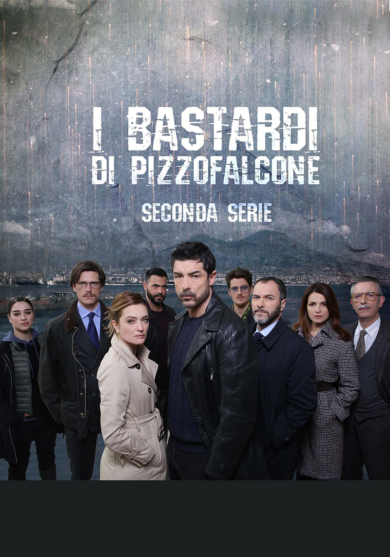 I Bastardi di Pizzofalcone - Seconda serie